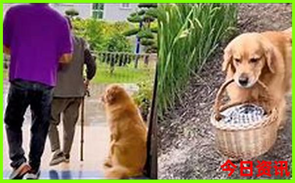丹东凤凰城旅游攻略景点必去